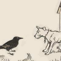 Crow and Dog