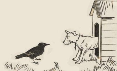 Crow and Dog