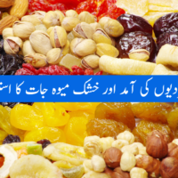 Dry Fruits