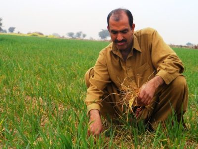 Farmers