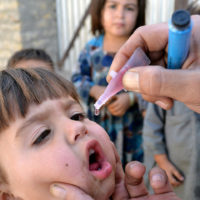 Polio Vaccine