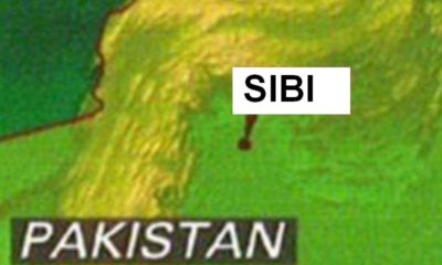 Sibi