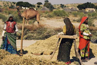 Women Working