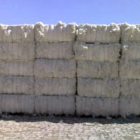 Cotton Bales