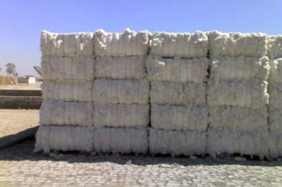 Cotton Bales