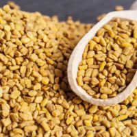 Fenugreek Seed