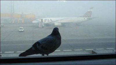 Karachi Airport Fog