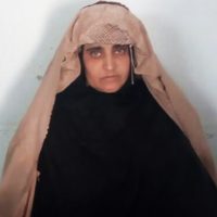 Sharbat Gula