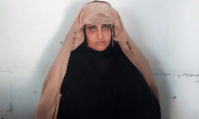 Sharbat Gula