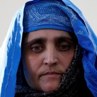 Sharbat Gula