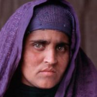 Sharbat Gula