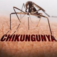 Chikungunya