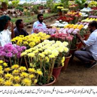 Department Gardens Staff