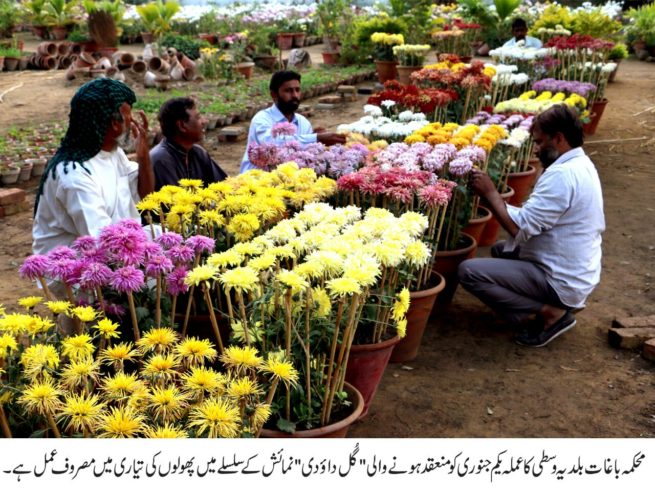 Department Gardens Staff