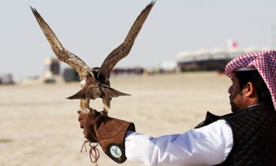 Qatar Prince Hunting