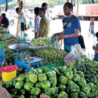 Vegetables Prices