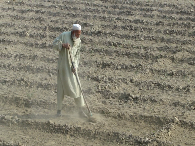 Agriculture Research