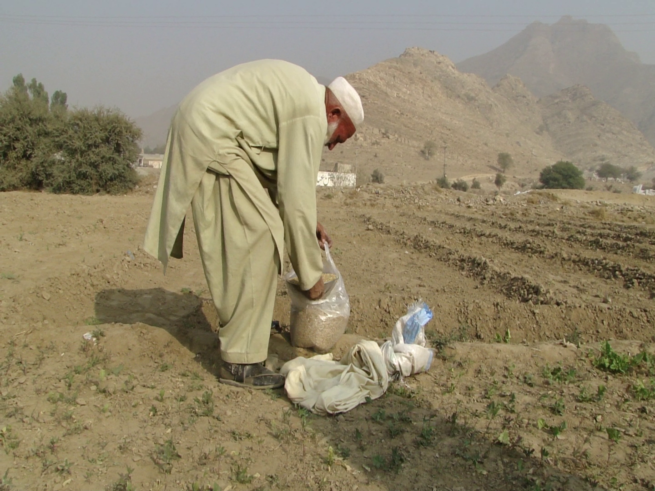 Agriculture Research