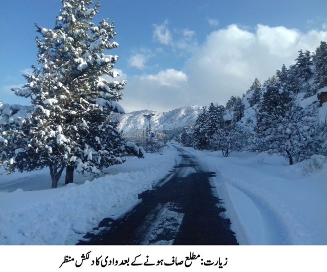 Ziarat Valley, Heavy Snow