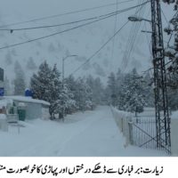 Ziarat Valley, Heavy Snow