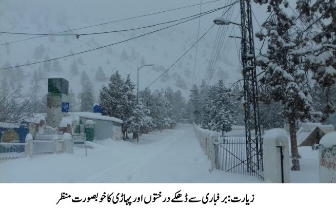 Ziarat Valley, Heavy Snow