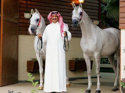 Arabic Prince Like Horse