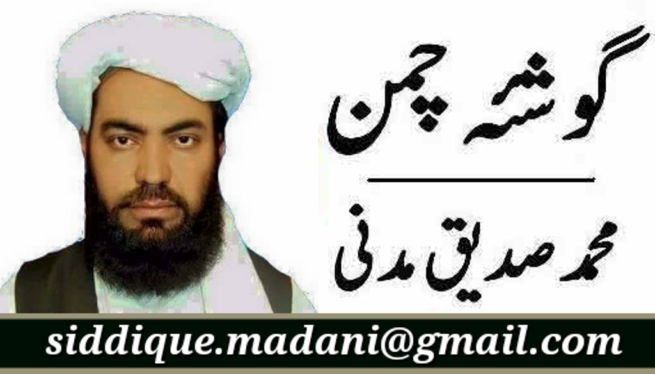 Mohammad Siddiq Madani Logo