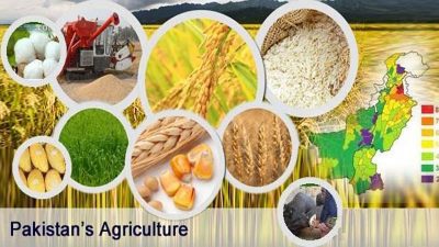 Agriculture in Pakistan