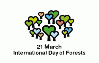 International Forest Day