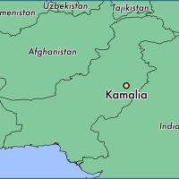 Kamalia