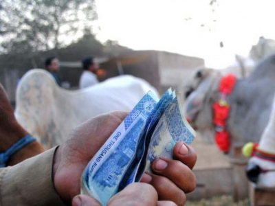 Sheikhupura Cattle Market Corruption