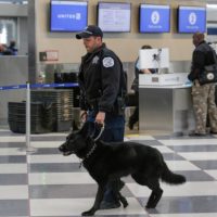 America Airline Security