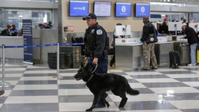 America Airline Security