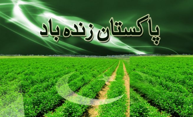 14 August Pakistan 