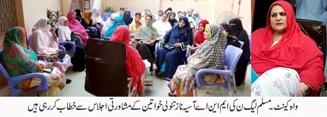 Ijlas Pmln Woman Wing 