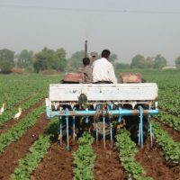 Pakistan Farmers