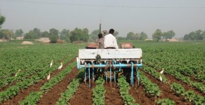 Pakistan Farmers