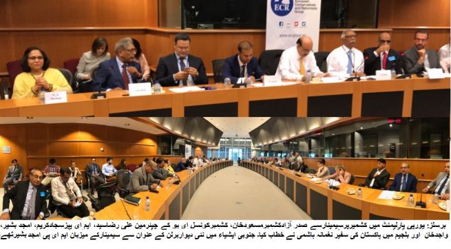 Seminar-EU parliament MEP Amjad Bashir 