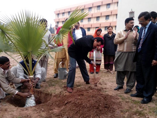 آزادی کے مہینے میں سبز پر چموں کے ساتھ سبز پودے بھی لگائیں