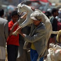 YEMEN-RELIGION-ISLAM-EID AL-ADHA