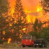 California Forests Fire