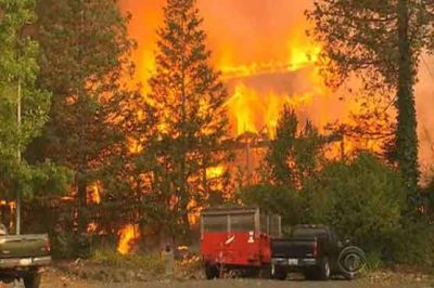 California Forests Fire