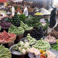 Vegetable Prices