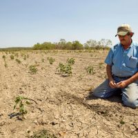 Water Crisis Farmer