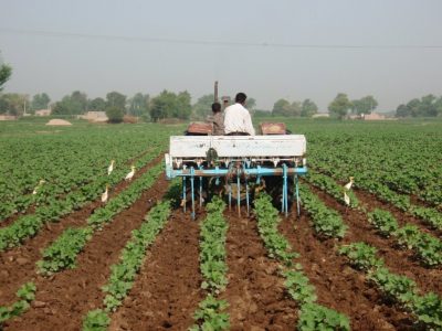 Pakistan Agriculture