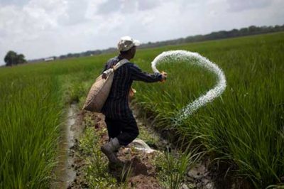 Agriculture