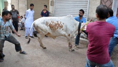 Eid al-Adha Qurbani