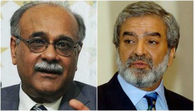 Najam Sethi - Ehsan Mani