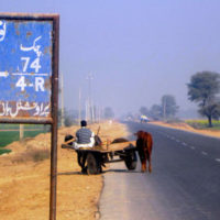 Sahiwal