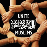 Muslim Unity